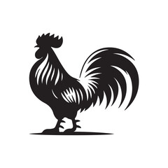Chicken vector