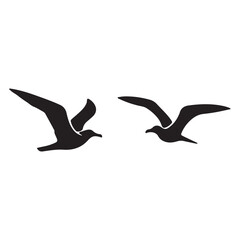 birds in flight