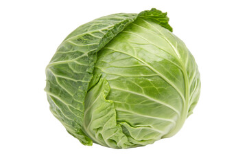 Fresh Whole Green Cabbage Head Isolated on a Light Background.