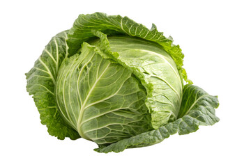 Fresh Whole Green Cabbage Head Isolated on a Light Background.