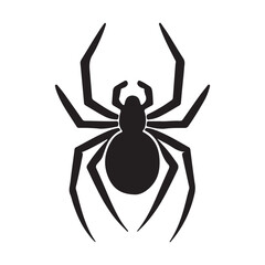 spider on a white background