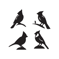 vector silhouettes of birds