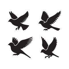 silhouettes of birds