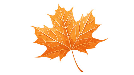 Obraz premium Orange maple leaf in realistic autumn style