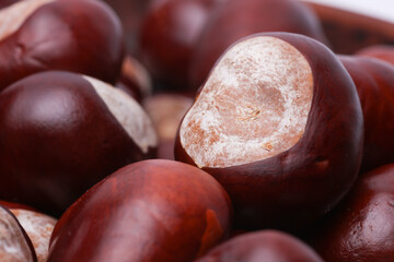 Close-up of ripe chestnuts. Macro photo
