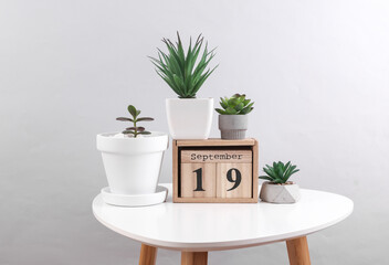 Wooden calendar organizer with date September 19 and decorative plants on table