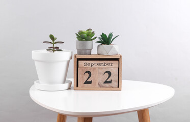Wooden calendar organizer with date September 22 and decorative plants on table