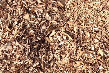 Wood Chips Pile Ground Natural Texture Background