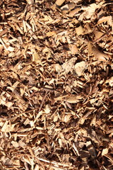 Wood Chips Pile Ground Natural Texture Background