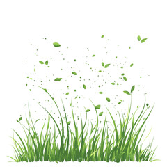 Green grass and pollen particles flying in the air
