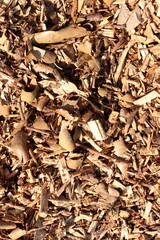 Wood Chips Pile Ground Natural Texture Background