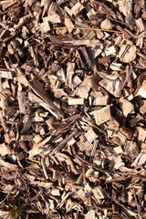 Wood Chips Pile Ground Natural Texture Background