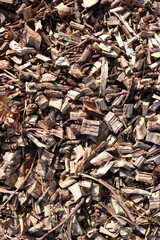Wood Chips Pile Ground Natural Texture Background