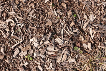 Wood Chips Pile Ground Natural Texture Background