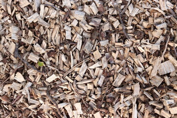 Wood Chips Pile Ground Natural Texture Background