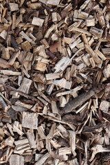 Wood Chips Pile Ground Natural Texture Background