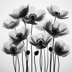 Elegant Black and White Floral Illustration – Poppies in Bloom