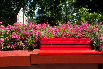 Kwiecisty park z czerwonymi ławkami w Toruniu, Polska. Park in Toruń, Poland	