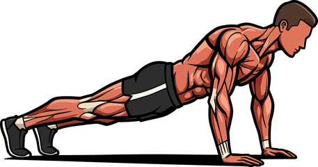 Push-Up Mastery: A dynamic illustration of a toned athlete executing the push-up, showcasing muscular definition and athletic form.