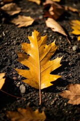 a close up of a leaf laying on the ground with other leaves