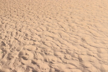 Beach Sand Ripples Natural Texture Background