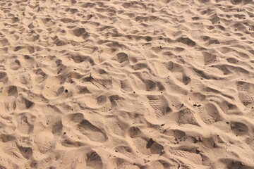 Beach Sand Ripples Natural Texture Background