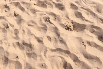 Beach Sand Ripples Natural Texture Background