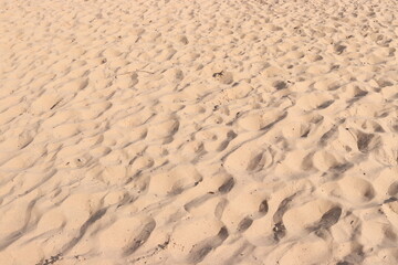 Beach Sand Ripples Natural Texture Background