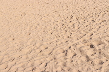 Beach Sand Ripples Natural Texture Background