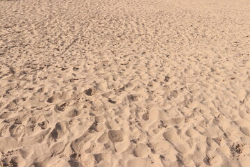 Beach Sand Ripples Natural Texture Background