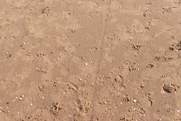 Beach Sand Ripples Natural Texture Background