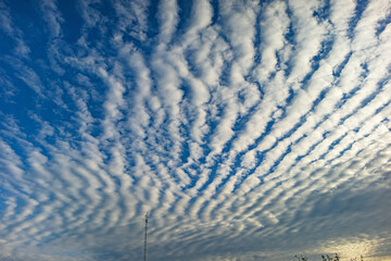 Altocumulus undulatus clouds. Waves of white clouds against a blue daytime sky