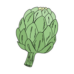 Artistic vegetable illustration of a single artichoke, hand drawn in bold outlined cartoon style