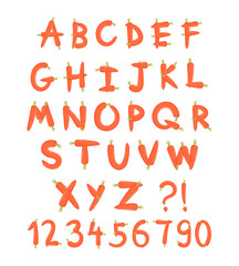 hand drawn alphabet made of carrots. Vector illustration.