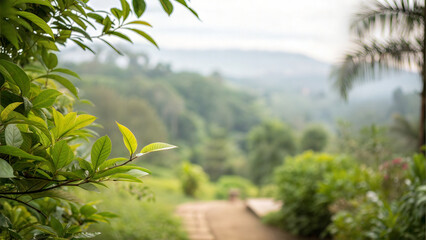 Leafy plant with blurred backdrop