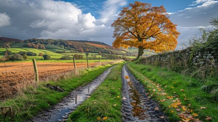 Fototapeta premium Autumnal Country Lane with Colorful Trees and Rolling Hills