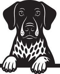 Peeking German Shorthaired Pointer Dog