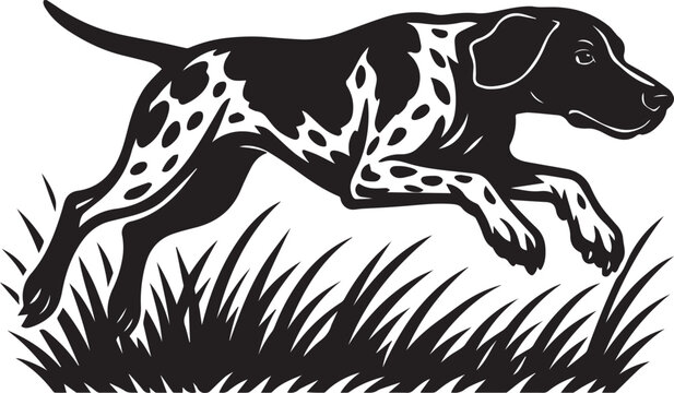 Running German Shorthaired Pointer Dog