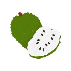 Local Tropical Fruits Illustration
