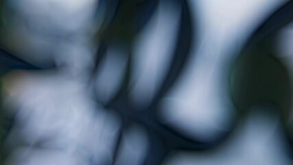 Soft blurry light leaks through defocused natural background creating calming abstract bokeh effect in soft blue tones - Powered by Adobe