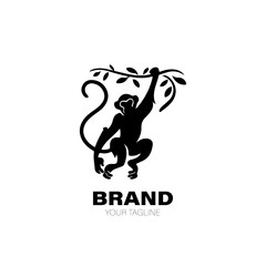 Monkey Logo. Monkey Logo Design. Monkey Logo Brand. Monkey Logo Vector Design Isolated on White Background