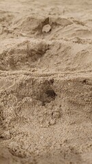 A close-up image of dry sand with small holes and natural textures, captured outdoors in a natural setting.