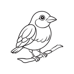bird on a branch