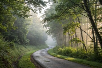 Obraz premium Misty Winding Road through Green Forest