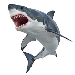 great white shark