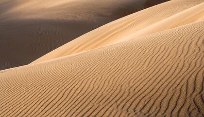 beige sand dune texture with soft shadows creating natural wavy landscape pattern