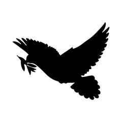 Silhouettes  birds design