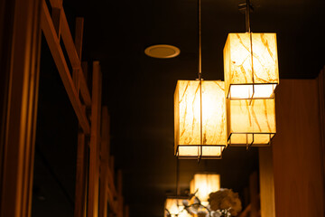 Elegant Pendant Lights in Cozy Interior
