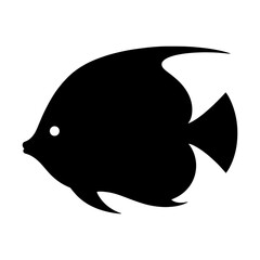 Black Tang fish