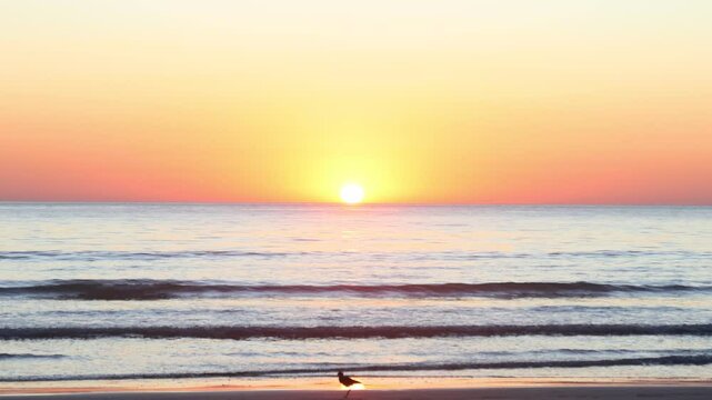 Chasing light where the ocean meets the calm &ndash; just another sunrise worth remembering